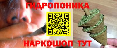 mdpv Краснознаменск