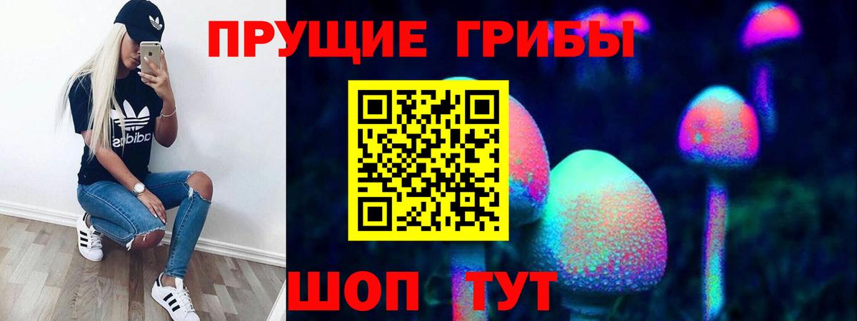 Псилоцибиновые грибы ЛСД Качканар