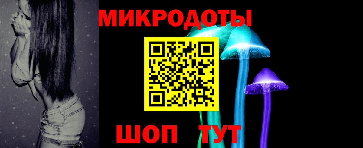 Качканар  Галлюциногенные грибы прущие грибы  где найти   Вход с VPN 